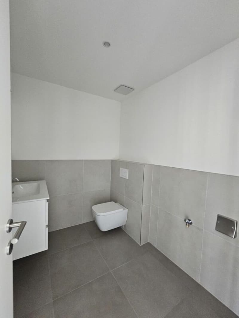 Nuovo 4.5 locali duplex con balcone (3)