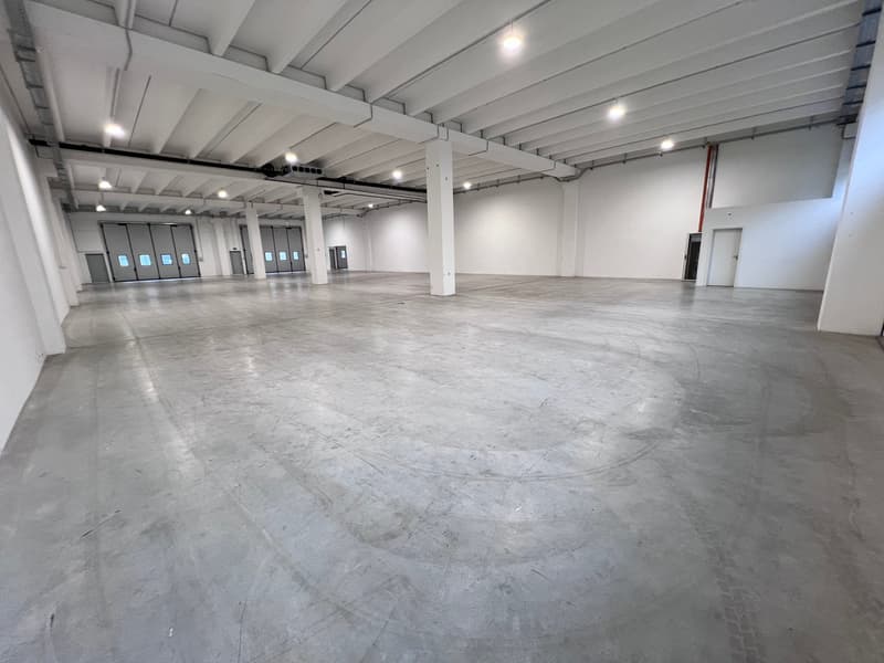 Superfici multifunzionali da 600 a 1'600 mq (3)