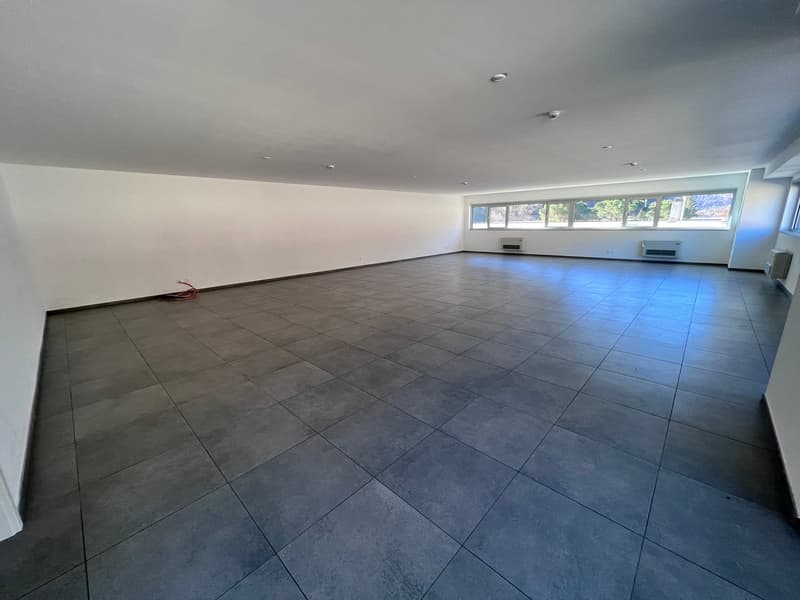 Superfici multifunzionali da 150 a 1'150 mq (5)