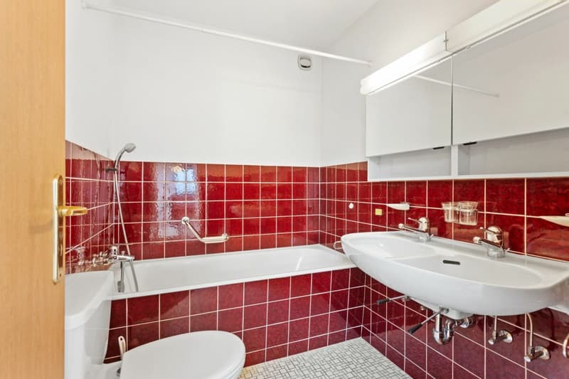 Bevorzugte Wohnlage in Dachsen - Weitblick inklusive! (9)