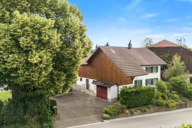 Ein Zuhause mit Herz, Geschichte und Möglichkeiten (15)