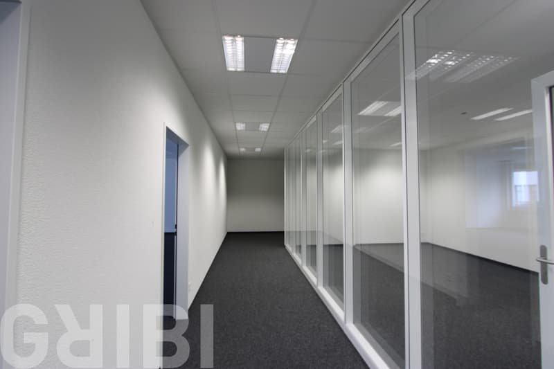 Ausgebaute Büro- und Gewerbeflächen in Reinach von 250 bis 780 m² (2)