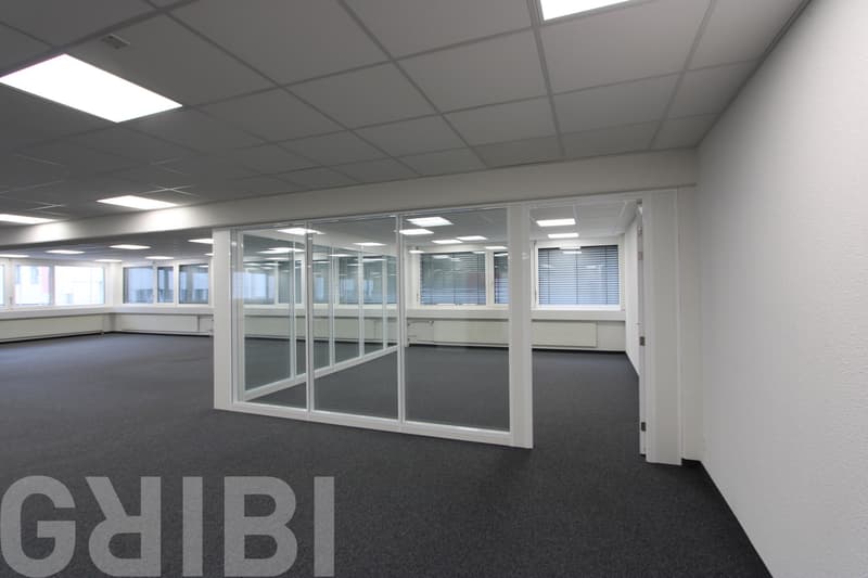 Ausgebaute Büro- und Gewerbeflächen in Reinach von 250 bis 780 m² (1)