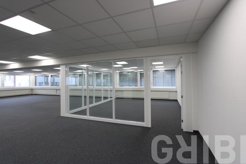 Ausgebaute Büro- und Gewerbeflächen in Reinach von 250 bis 780 m² (1)