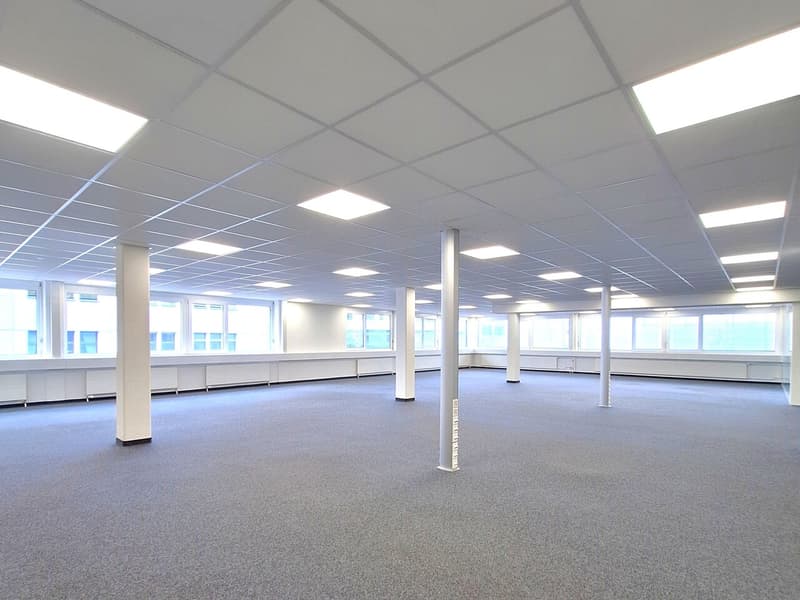 Openspace-Büro 1. OG