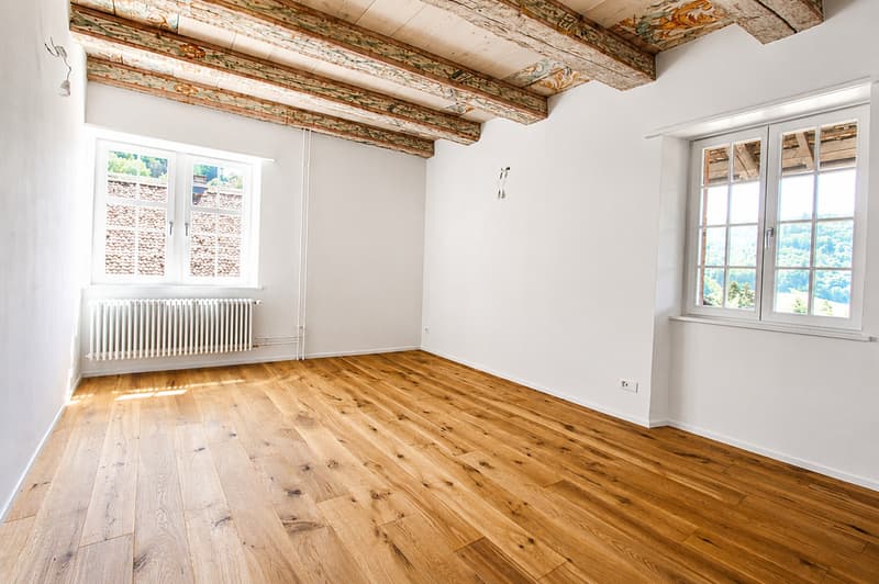 Modern restauriertes Pfarrhaus - tolle Aussicht (6)