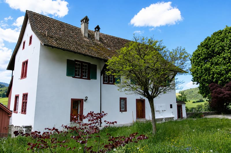 Modern restauriertes Pfarrhaus - tolle Aussicht (8)