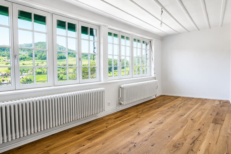 Modern restauriertes Pfarrhaus - tolle Aussicht (5)