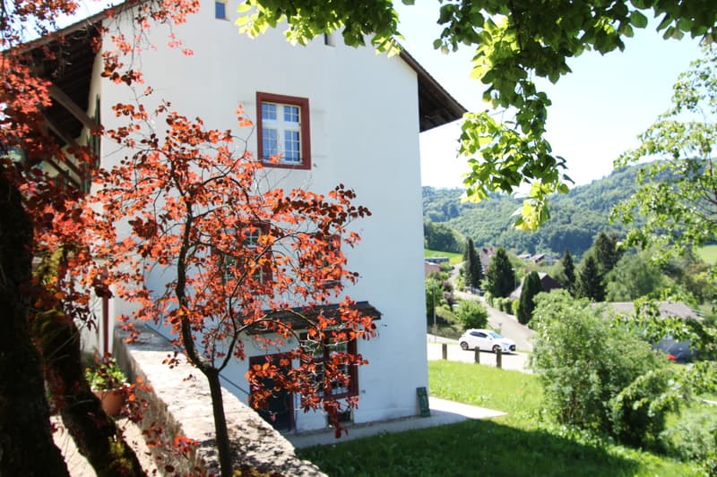 Modern restauriertes Pfarrhaus - tolle Aussicht (3)