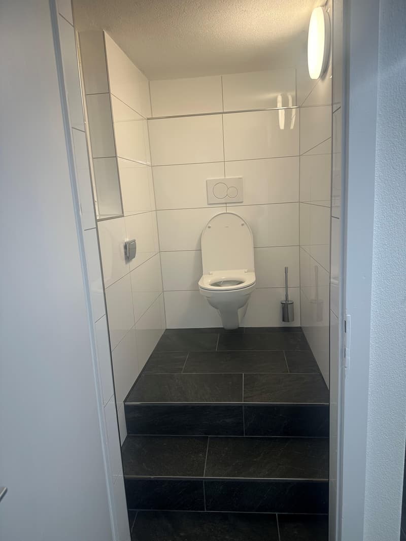 Suchen Sie einen grossen Raum für stilles Gewerbe? Wir haben den passenden Raum dazu! (7)