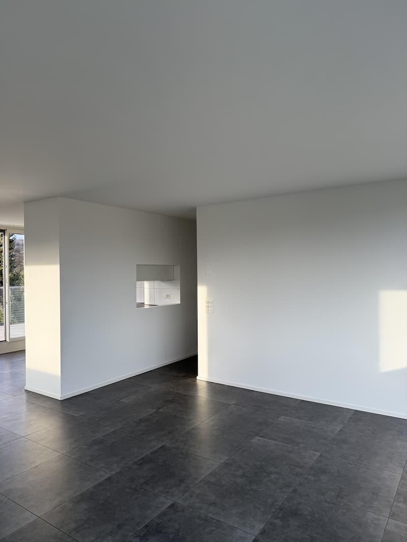 3.5 Zimmerwohnung in Hinwil zu vermieten! (4)