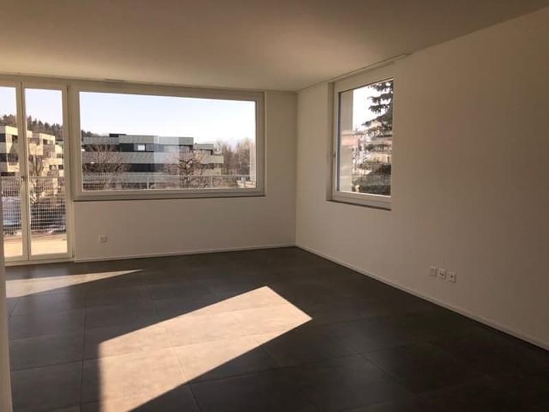 3.5 Zimmerwohnung in Hinwil zu vermieten! (2)