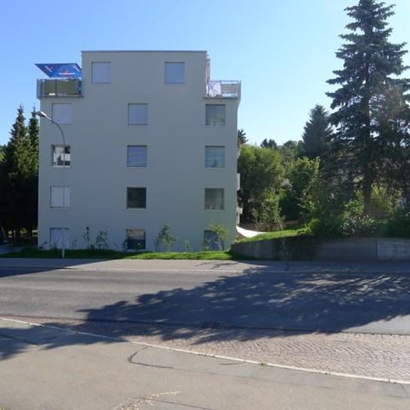 3.5 Zimmerwohnung in Hinwil zu vermieten! (12)