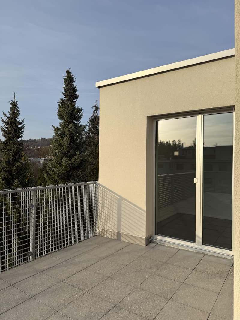 3.5 Zimmerwohnung in Hinwil zu vermieten! (11)