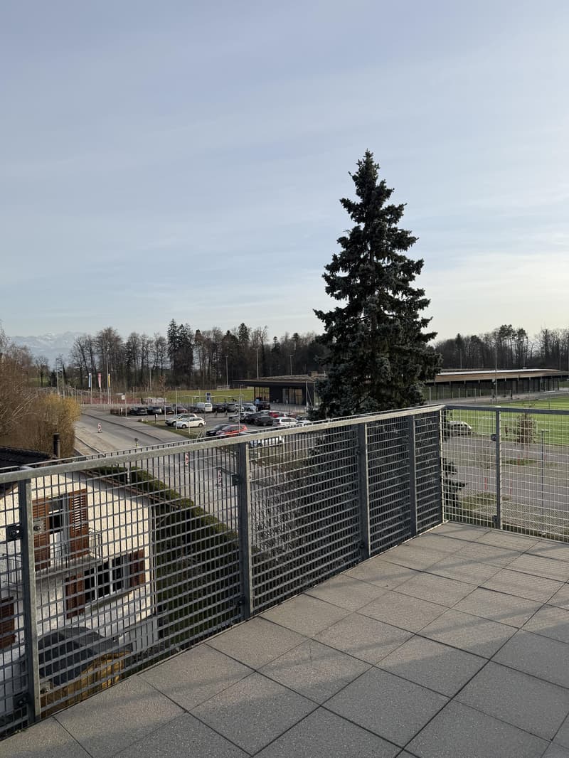 3.5 Zimmerwohnung in Hinwil zu vermieten! (9)