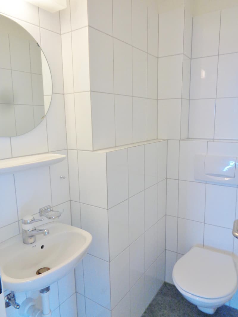 Charmante 4.5 Zimmerwohnung in Adliswil zu vermieten! (6)