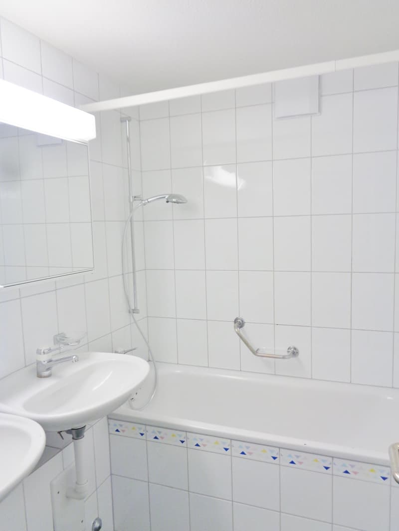 Charmante 4.5 Zimmerwohnung in Adliswil zu vermieten! (5)