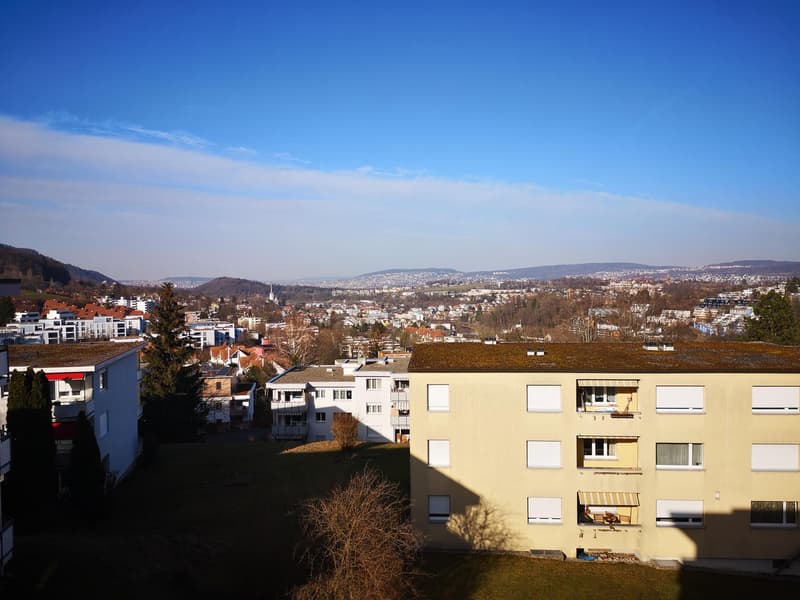 Charmante 4.5 Zimmerwohnung in Adliswil zu vermieten! (8)
