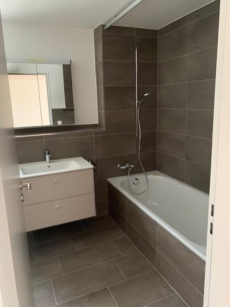 Charmante 2.5-Zimmer-Wohnung in Rumlikon (3)