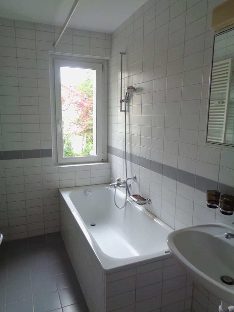 5.0 Zimmerwohnung in Winterthur (3)