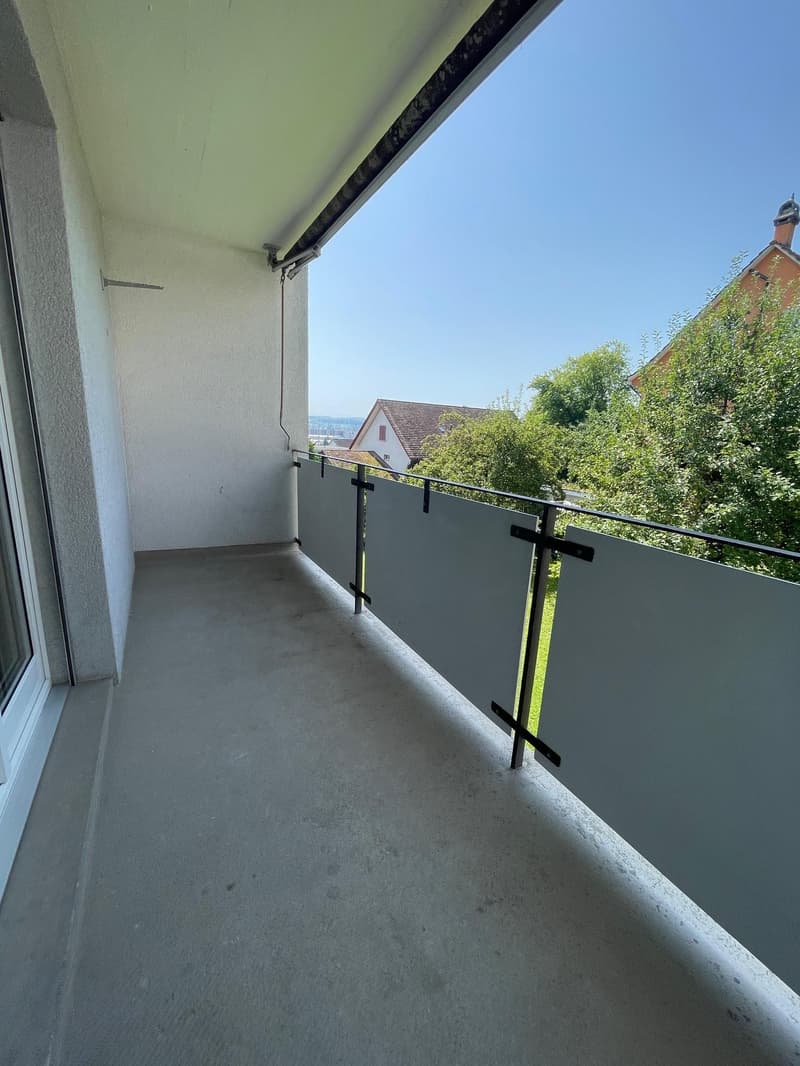 5.0 Zimmerwohnung in Winterthur (8)