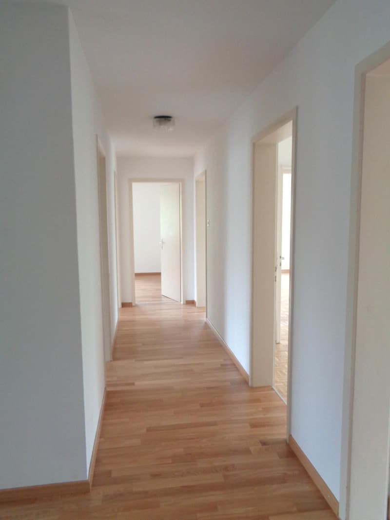 5.0 Zimmerwohnung in Winterthur (6)