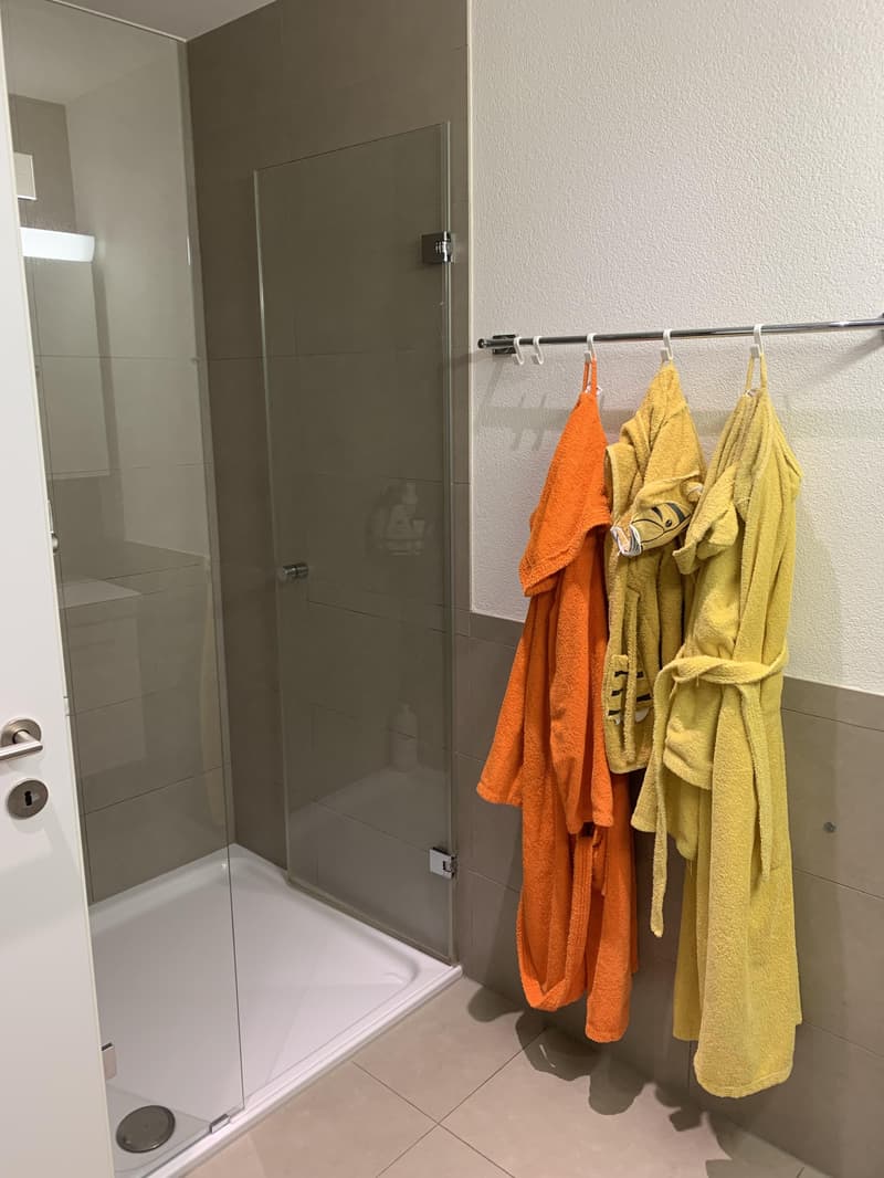 4.5 Zimmerwohnung in Dübendorf (6)