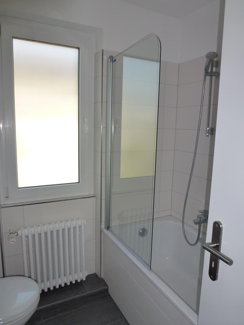 3.0 Zimmerwohnung in Bassersdorf (5)