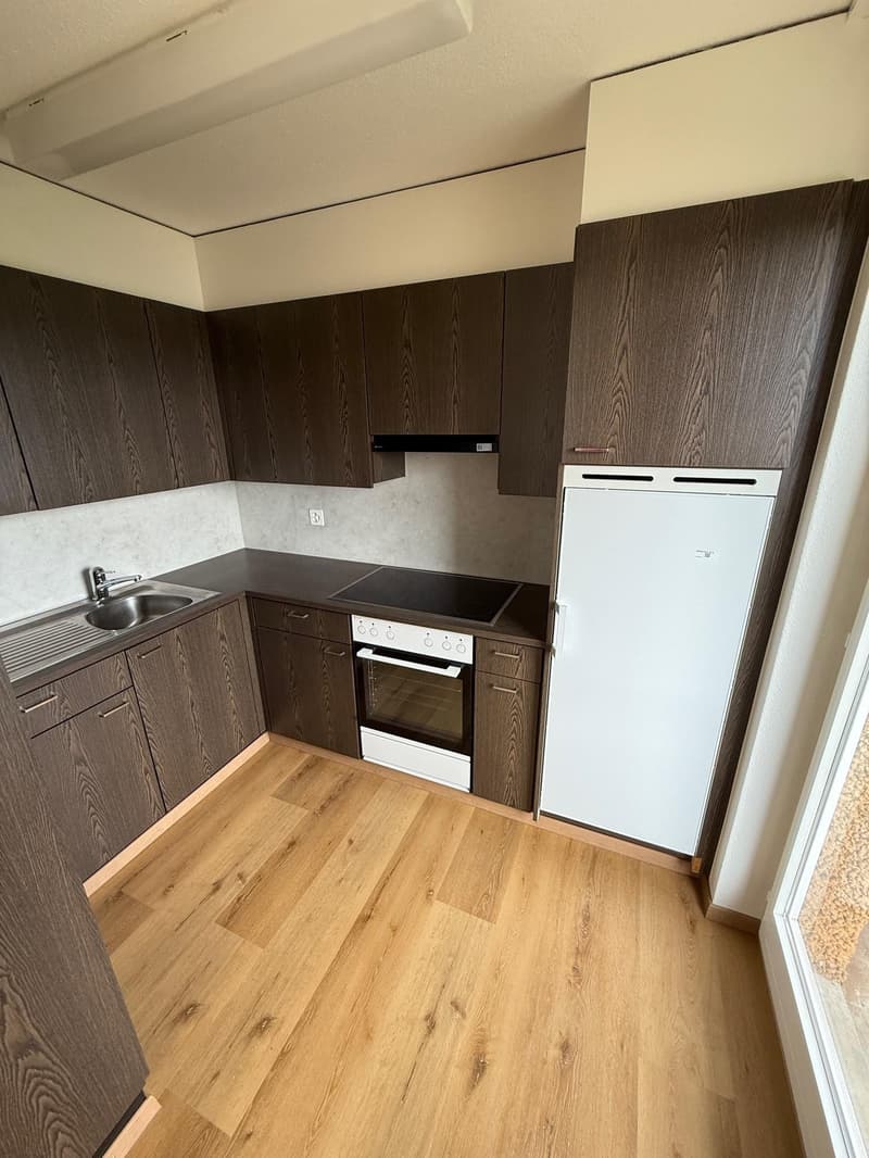 2-Zimmerwohnung in Dietlikon (3)