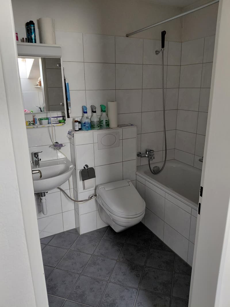 1.0 Zimmerwohnung in Dübendorf (4)