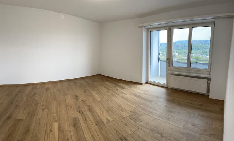 3.5 Zimmerwohnung in Zürich (3)