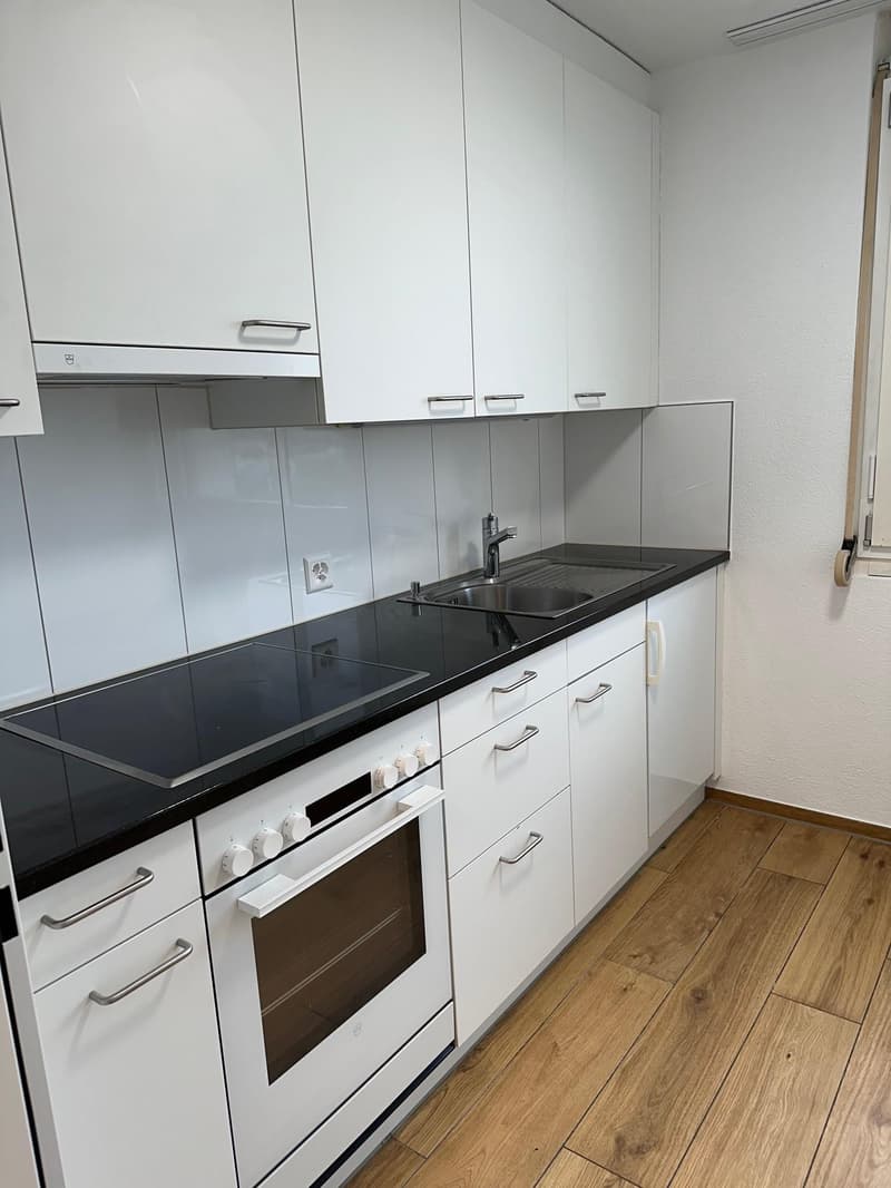 3.5 Zimmerwohnung in Zürich (2)