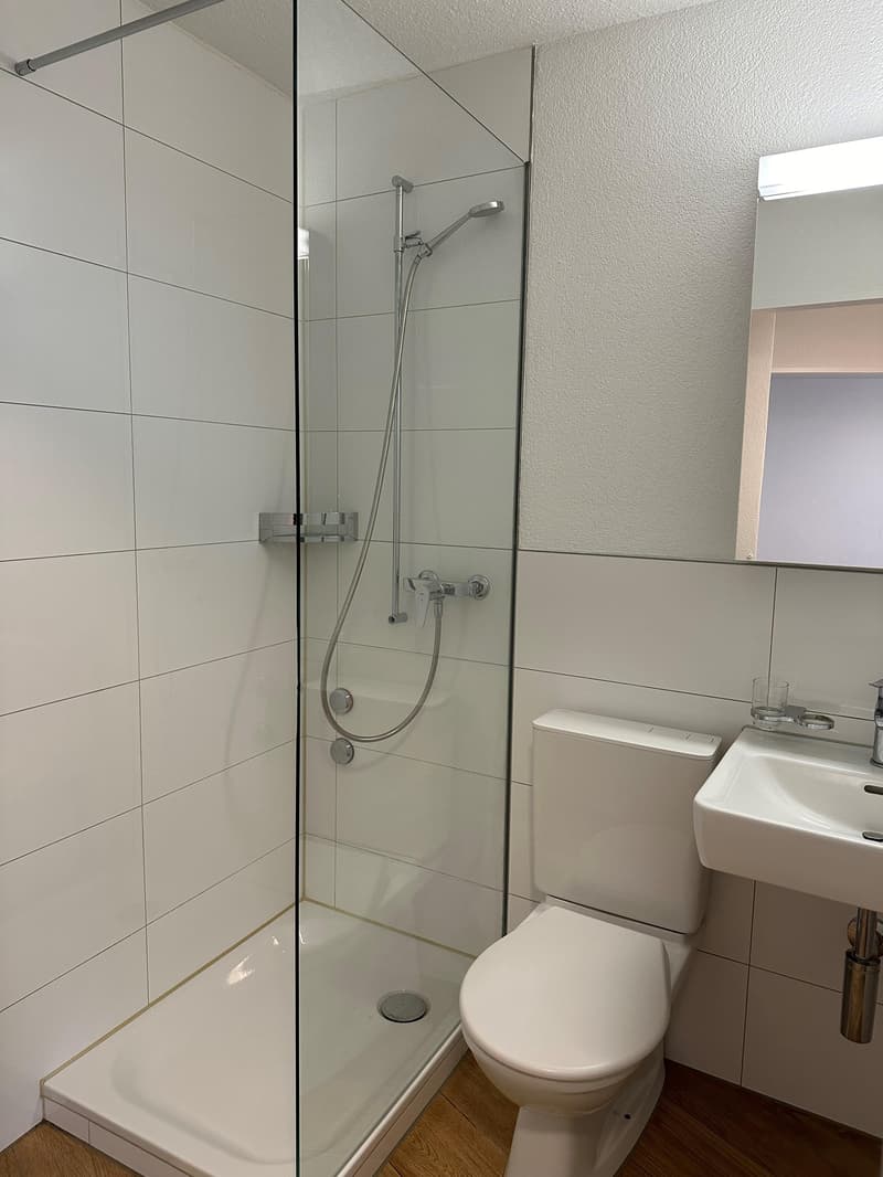 3.5 Zimmerwohnung in Zürich (5)