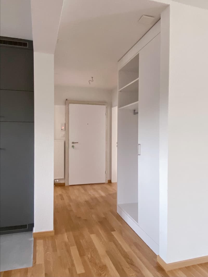 4.5 Zimmerwohnung in Obfelden zu vermieten! (2)