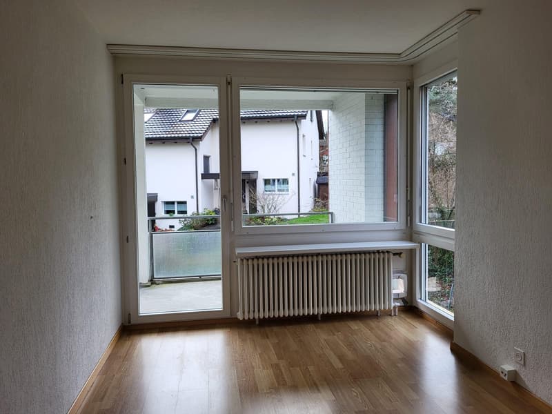 perfekte grosszügige Familienwohnung (8)