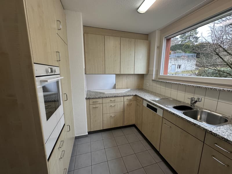 perfekte grosszügige Familienwohnung (3)