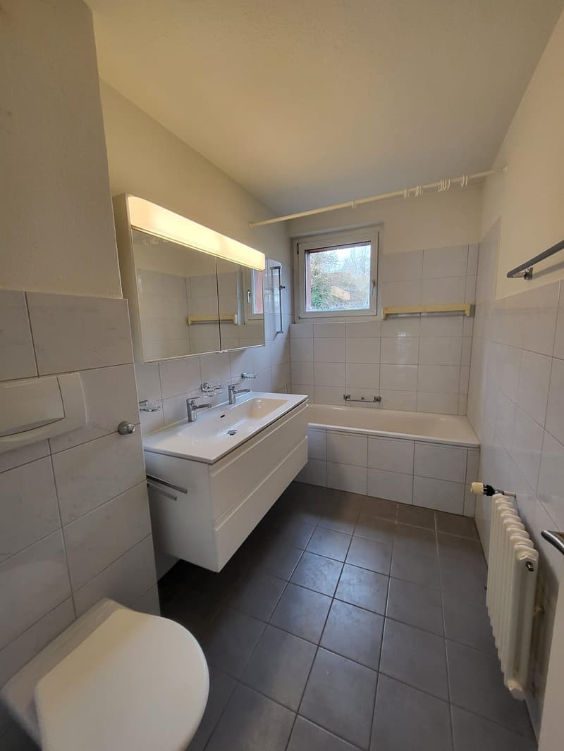 perfekte grosszügige Familienwohnung (4)