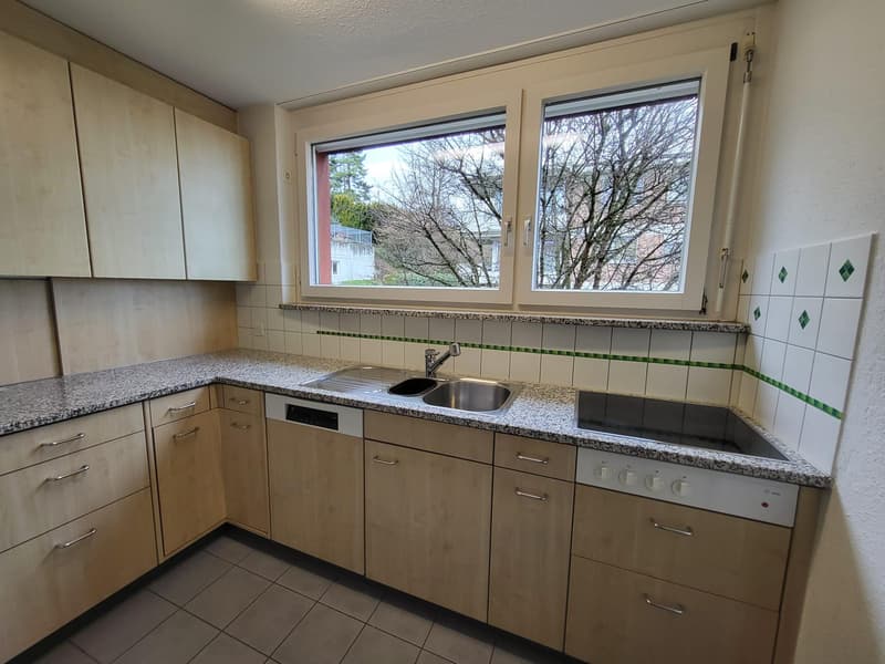 perfekte grosszügige Familienwohnung (2)