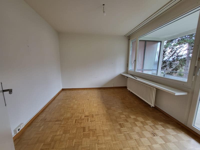 perfekte grosszügige Familienwohnung (9)