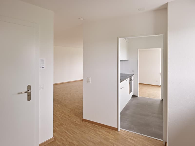 4.5 Zimmerwohnung in Winterthur (3)