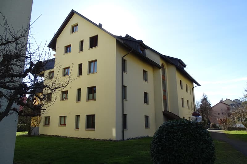 3.5 Zimmerwohnung in Dübendorf (1)