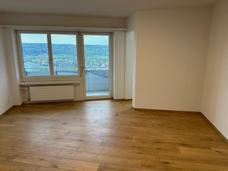 1.0 Zimmerwohnung in Zürich (3)