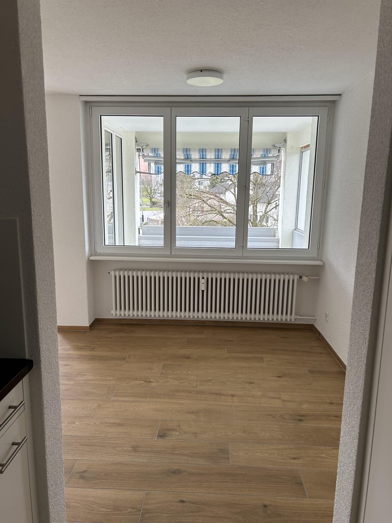 3.5 Zimmerwohnung in Frauenfeld (4)