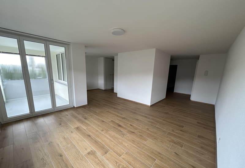 3.5 Zimmerwohnung in Frauenfeld (3)
