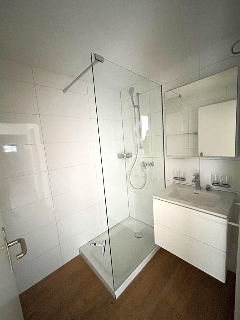 3.5 Zimmerwohnung in Frauenfeld (7)