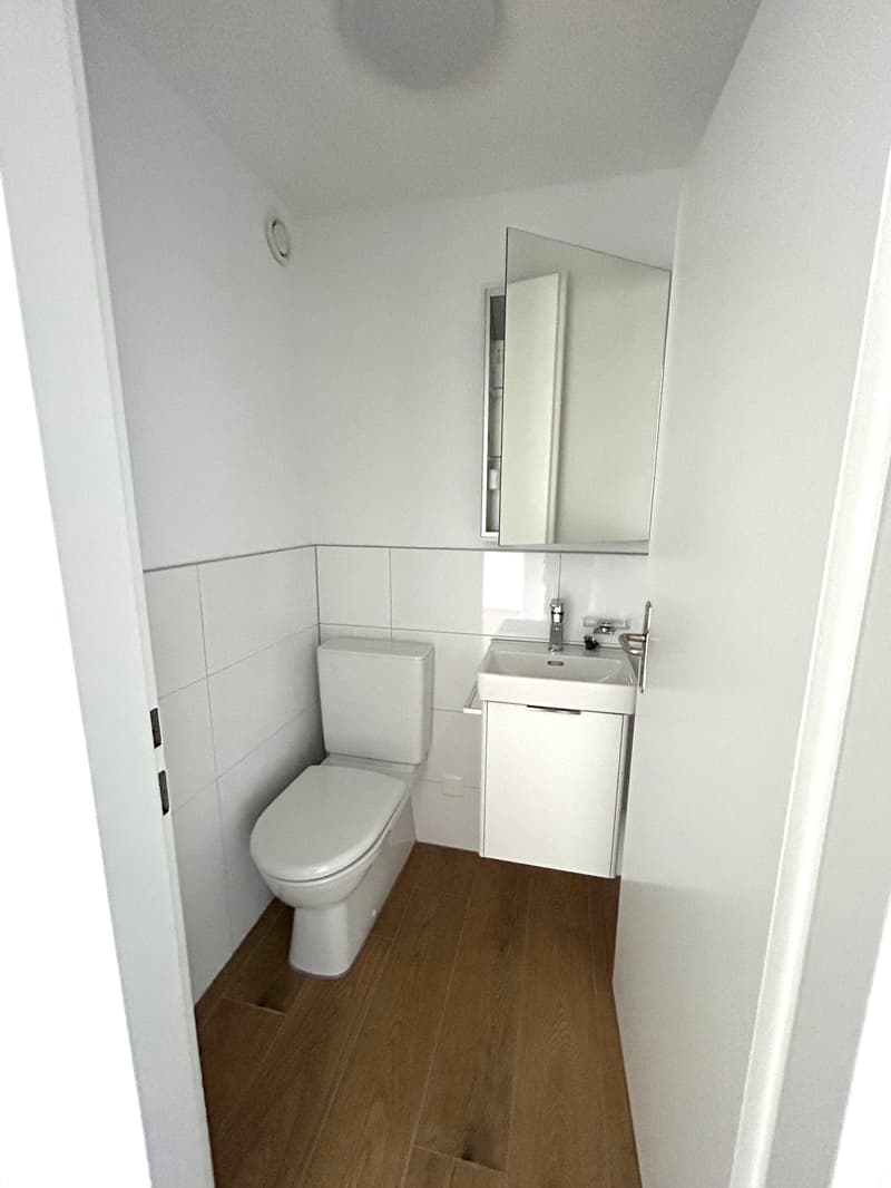 3.5 Zimmerwohnung in Frauenfeld (8)