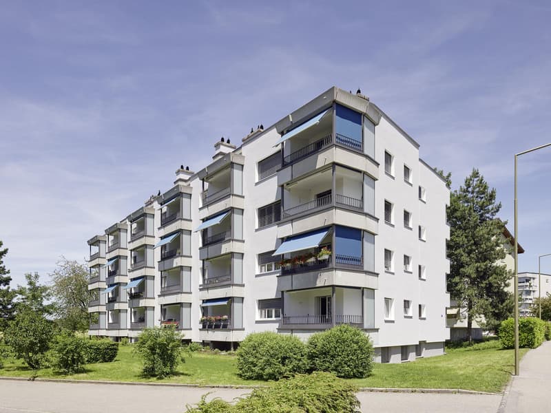 4.5 Zimmerwohnung in Winterthur (1)