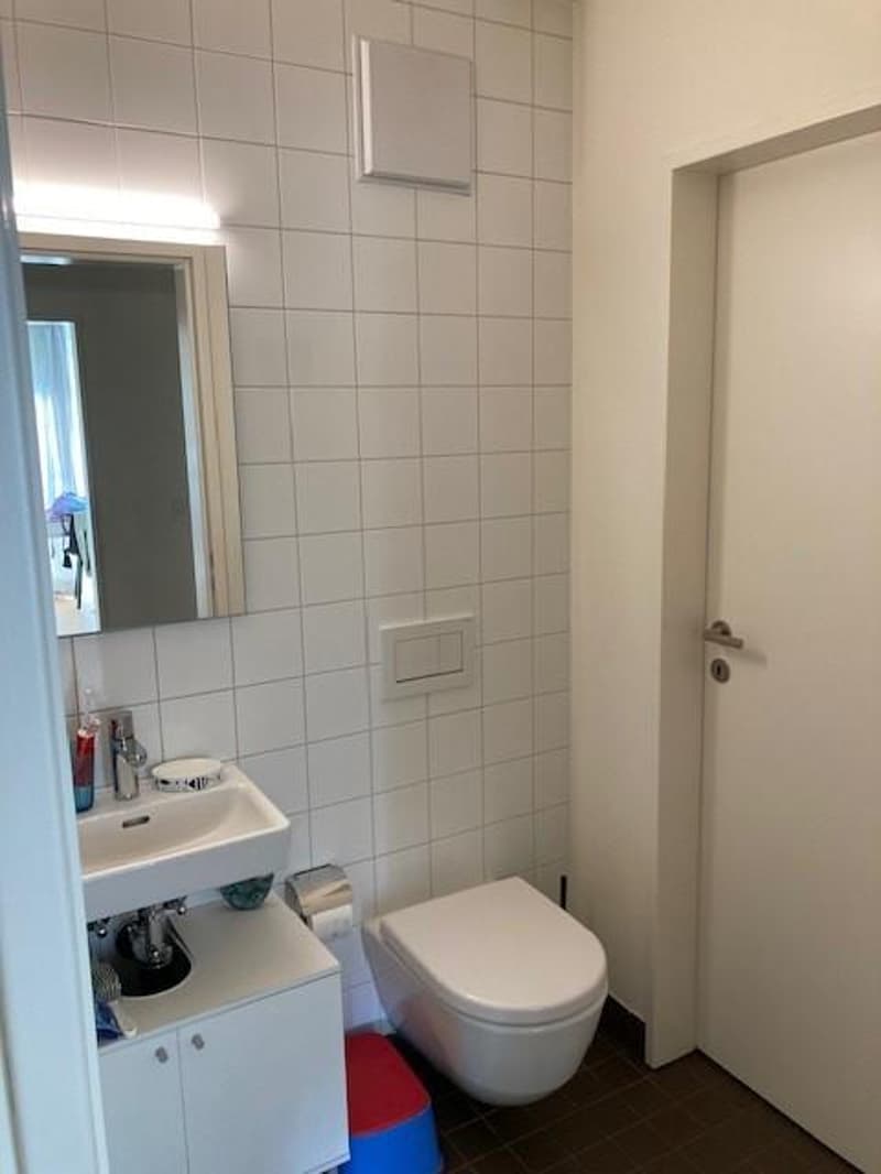 3.5 Zimmerwohnung in Uster (5)