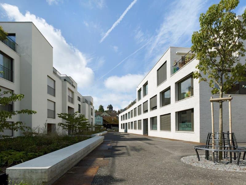 3.5 Zimmerwohnung in Uster (1)