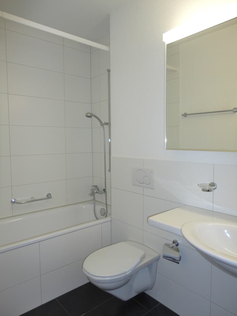 3.5 Zimmerwohnung in Oberengstringen (3)